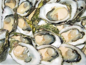 Oyster Festival | Charleston, SC | The Peck Law Firm