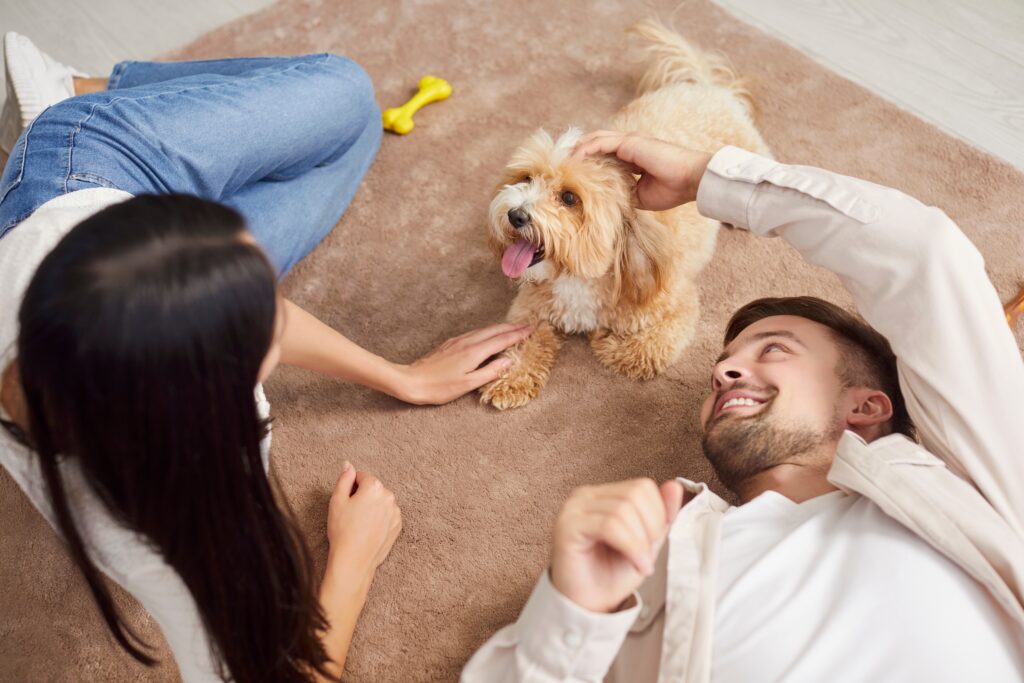 Dog with family - The Peck Law Firm